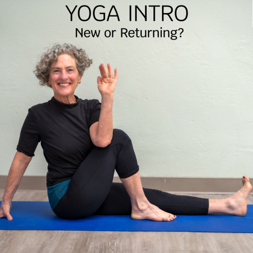 IntroYoga