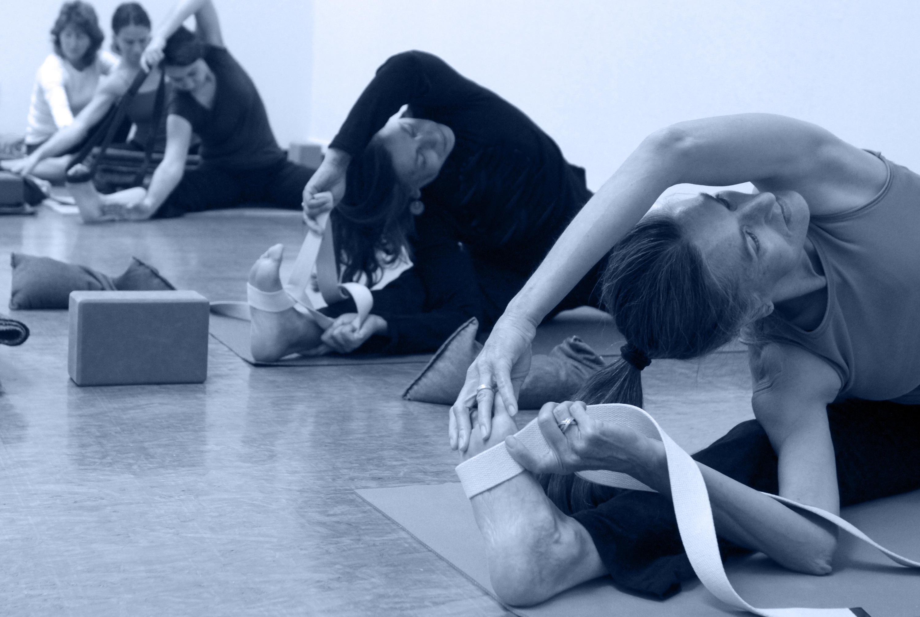 yoga-center-santa-cruz-iyengar-yoga-studio-serving-santa-cruz-yoga